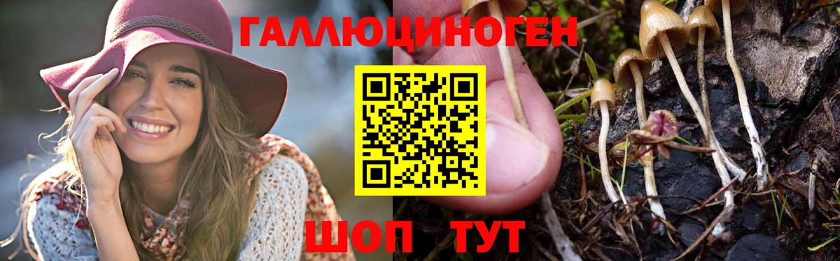 магазин  наркотиков  Галлюциногенные грибы Magic Shrooms  Псилоцибиновые грибы мухоморы  Вход с VPN  Зима 